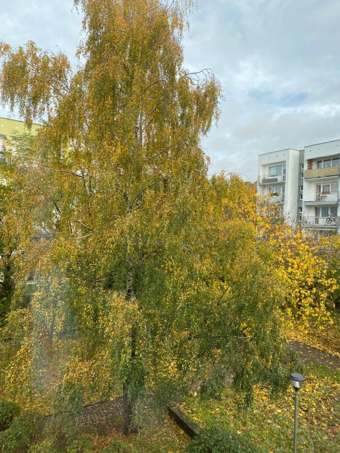 Apartament Arkonska 什切青 外观 照片